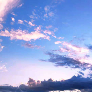 1905一区二区三区天堂网
